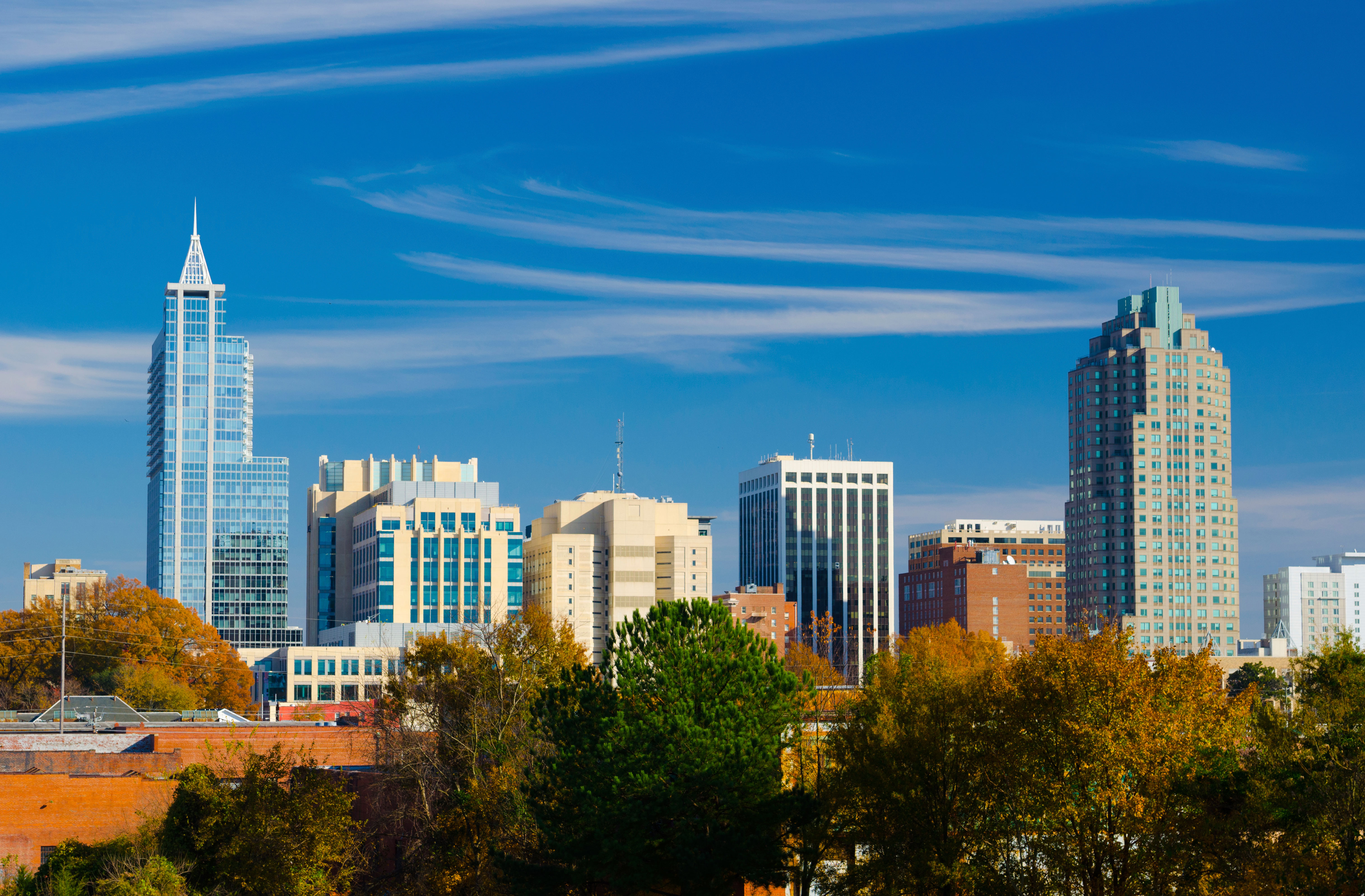 Raleigh Real Estate Lifestyle Photo 01