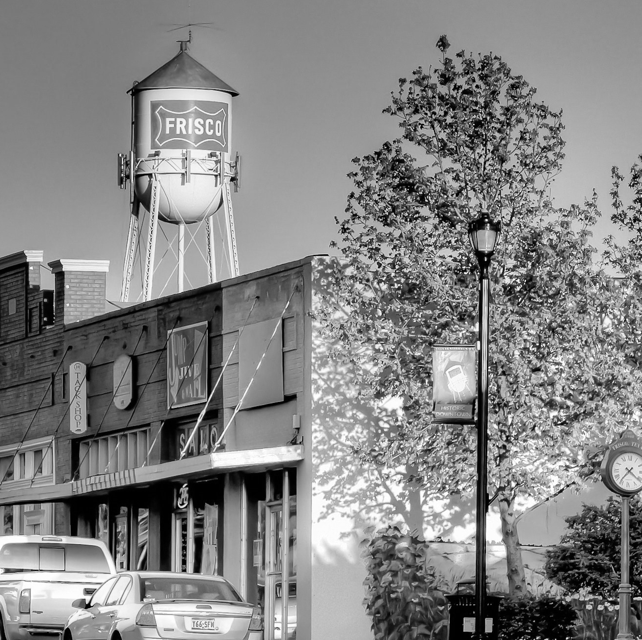 Frisco Picture