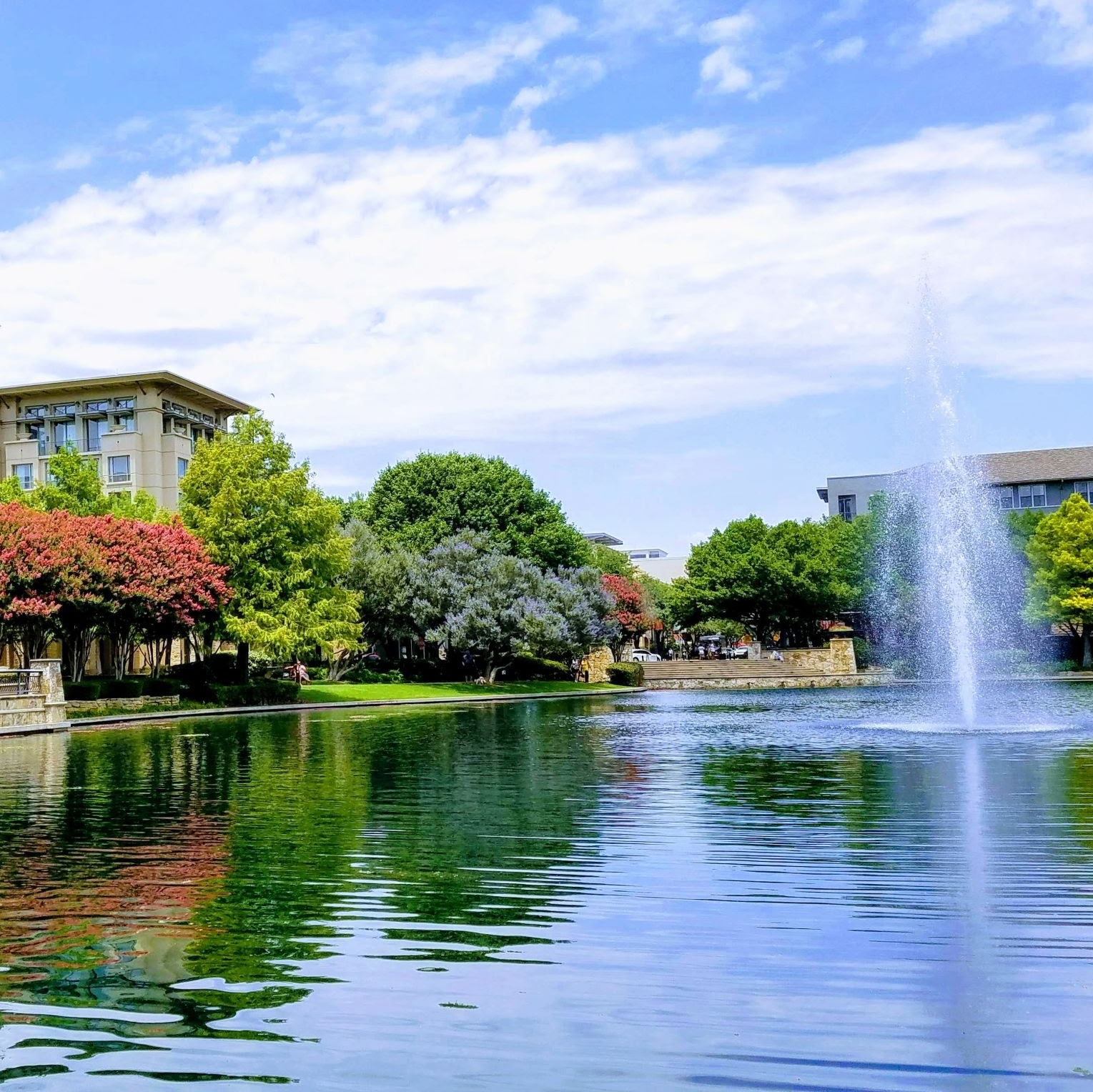 Plano Picture
