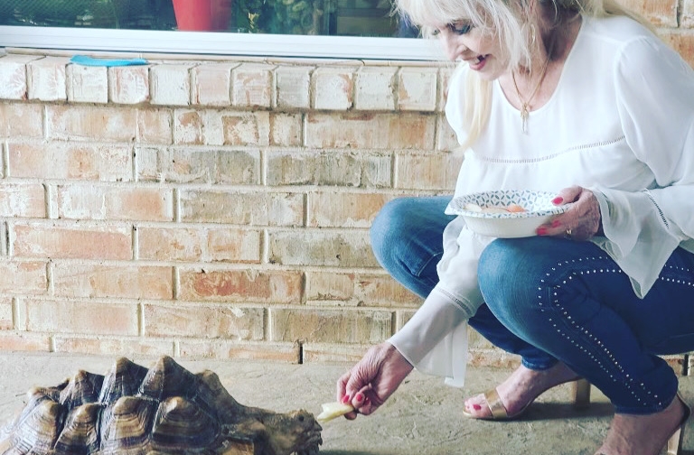 Miss D'Ungers Blog