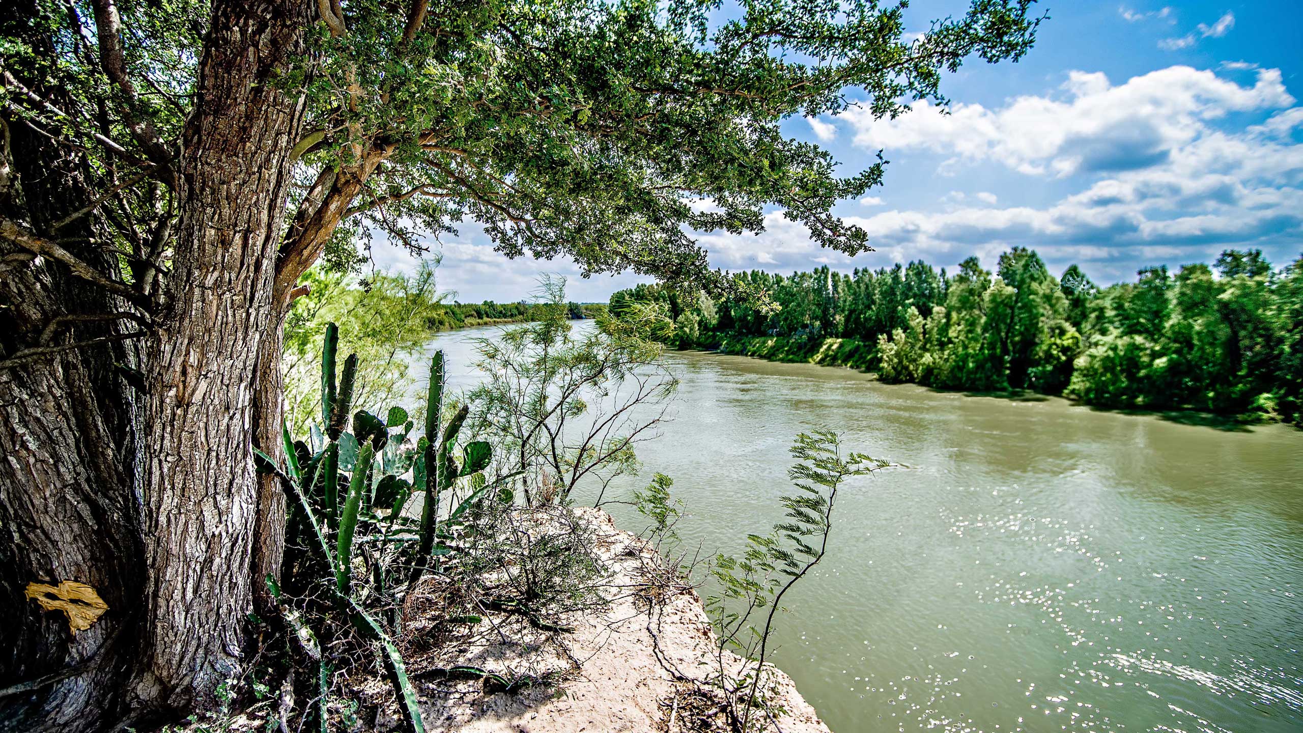 Laredo Real Estate Lifestyle Photo 04