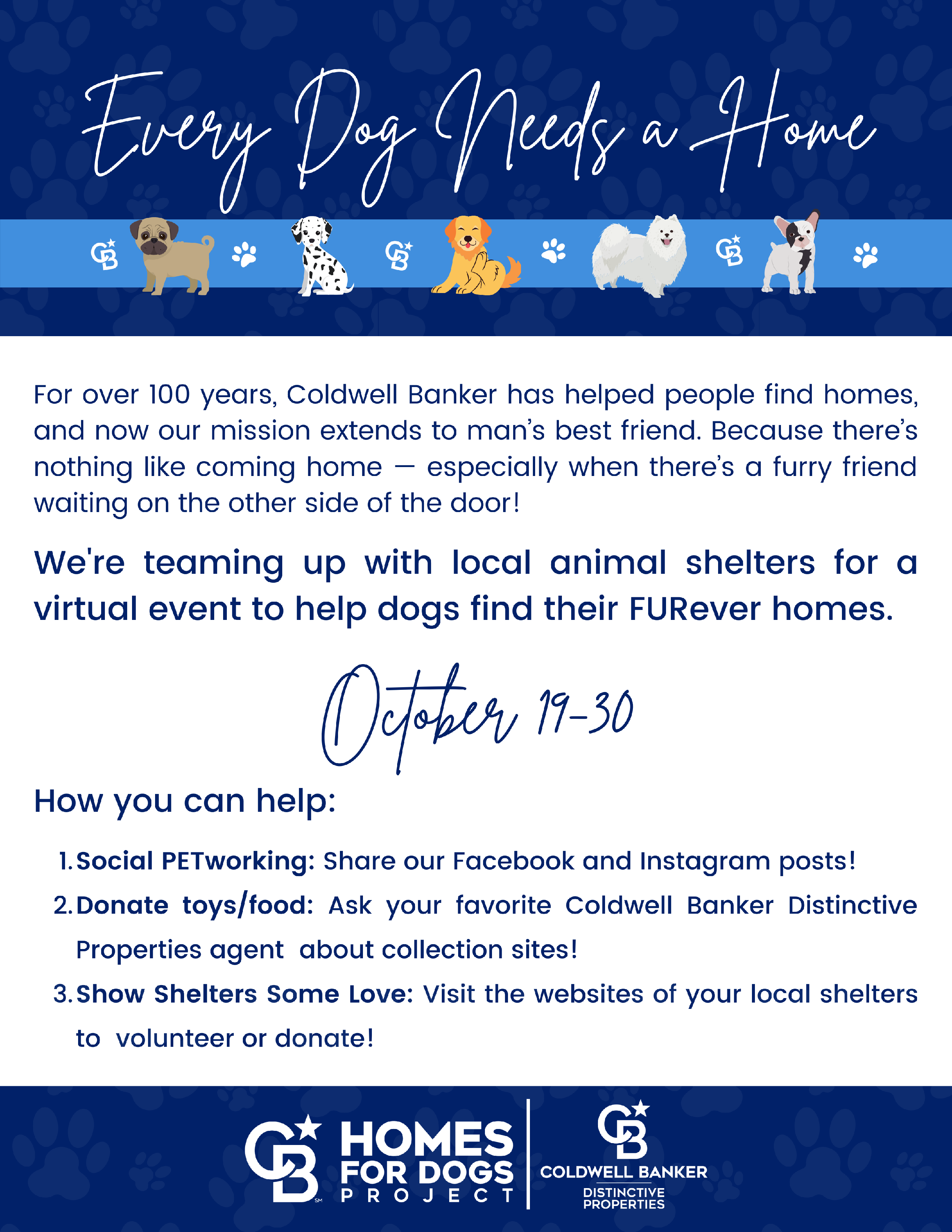 Homes For Dogs