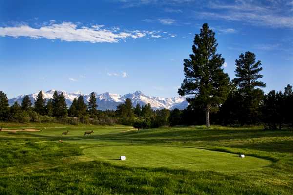 Divide Ranch Golf
