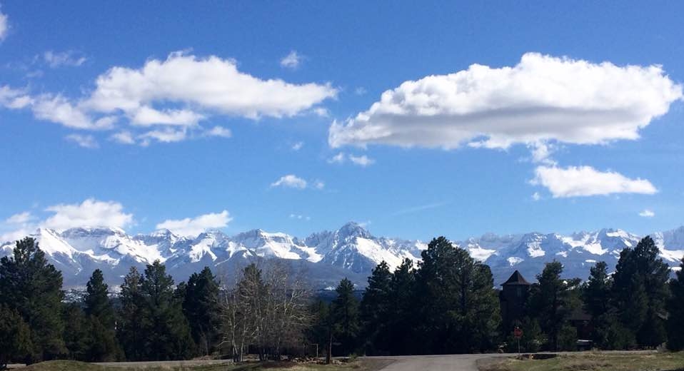 Montrose Real Estate Lifestyle Photo 01