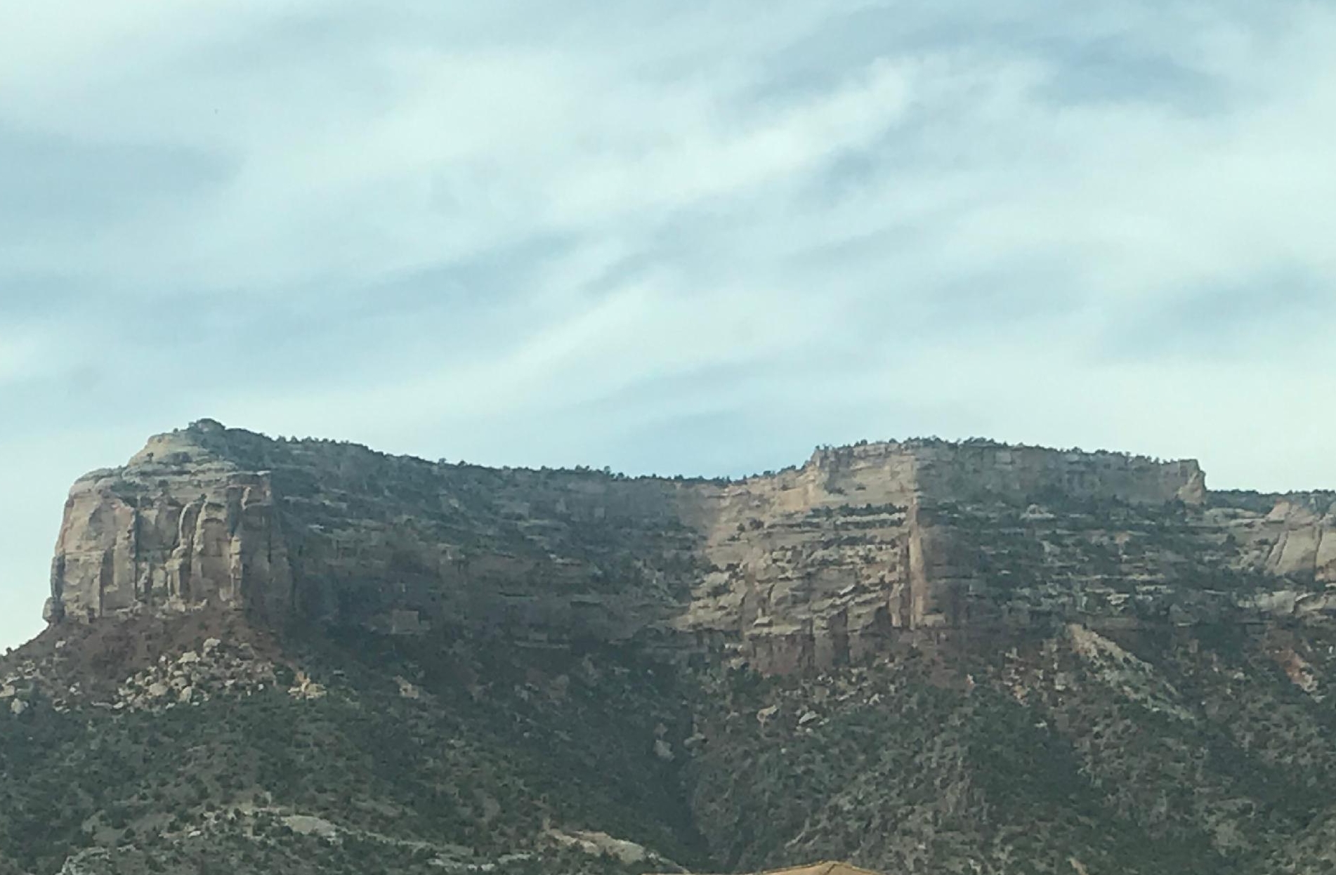 Desert Peach HOA 