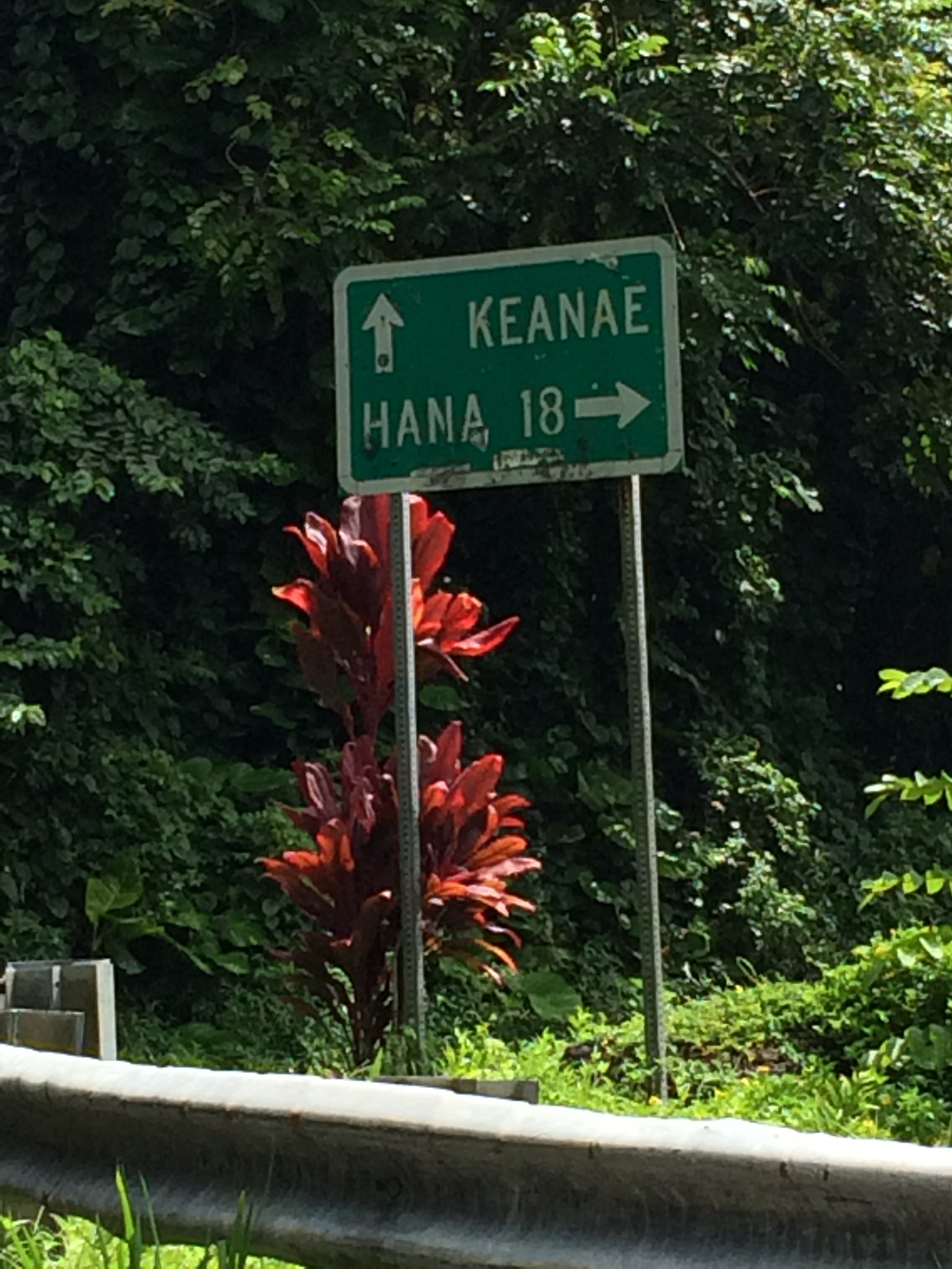 Kihei Real Estate Lifestyle Photo 03