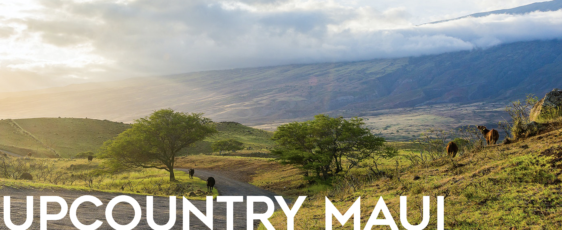 Upcountry Maui Homes for Sale